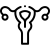 uterus (4)